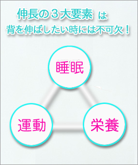 身長アップに『伸長の3大要素』は最も重要