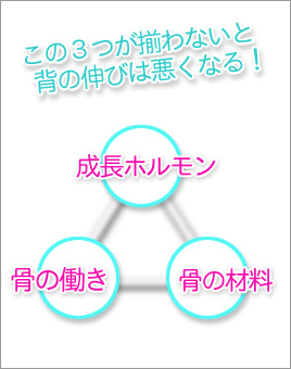 身長アップに『伸長の3大要素』は最も重要