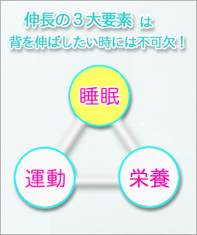 身長アップに『睡眠』は不可欠な要素