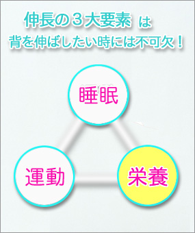 身長アップに『睡眠』は不可欠な要素