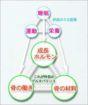 身長アップに『睡眠』は不可欠な要素