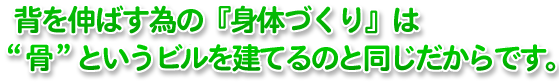 体づくりは骨というビルを建てるのに例えられる。