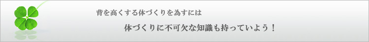 背を伸ばす体づくりを為すには体づくりの不可欠な知識も持っていよう。