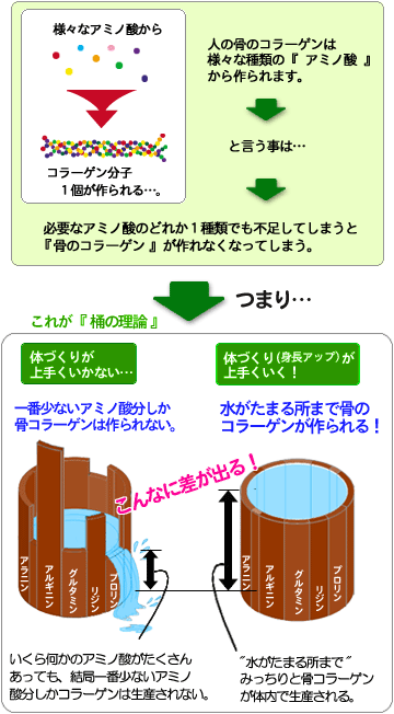 背が高くなるには桶の理論が必要！！